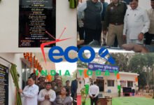 InShot 20260128 200117403