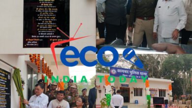 InShot 20260128 200117403