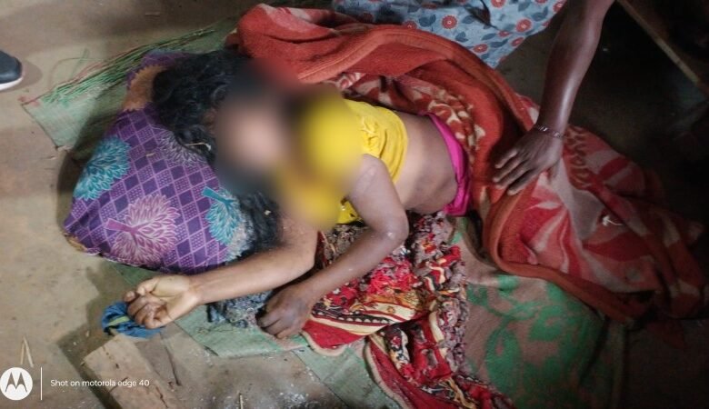 IMG 20260223 140803 copy 800x450