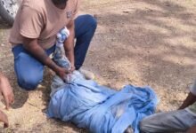 IMG 20260225 080837 copy 527x648