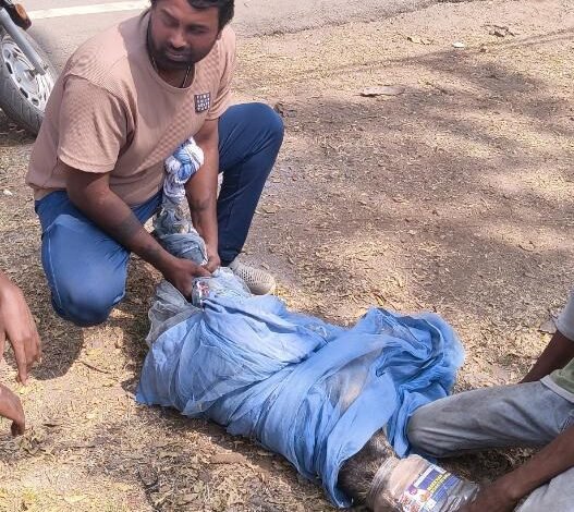 IMG 20260225 080837 copy 527x648