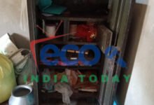 InShot 20260208 103932262