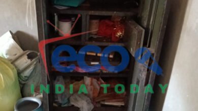 InShot 20260208 103932262