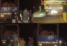 InShot 20260223 132613232 copy 960x960