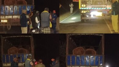 InShot 20260223 132613232 copy 960x960