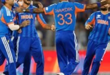 153786368 copy 356x356