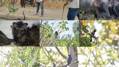 InShot 20260303 130816444 copy 950x633