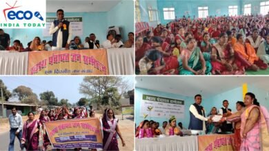 InShot 20260310 152445722 copy 1351x759