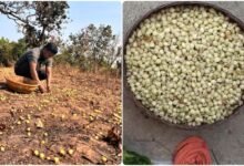 InShot 20260323 124706053 copy 1127x633