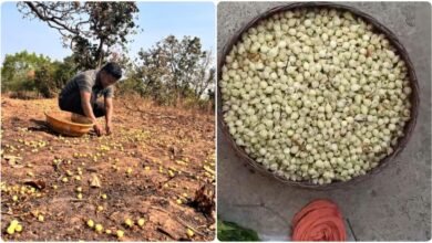 InShot 20260323 124706053 copy 1127x633