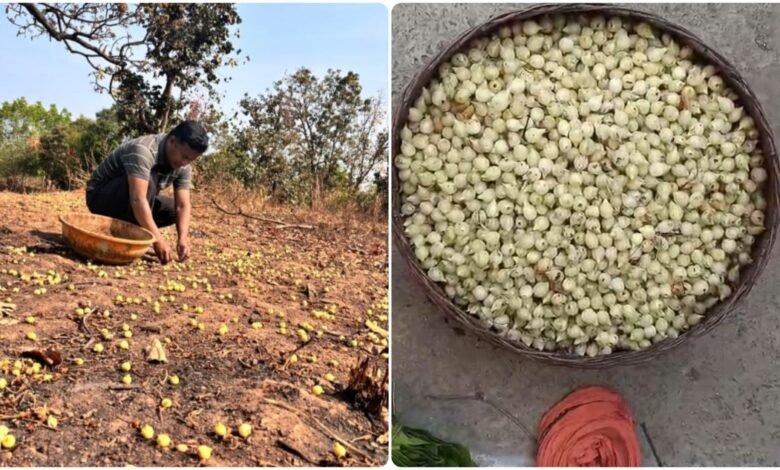 InShot 20260323 124706053 copy 1127x633