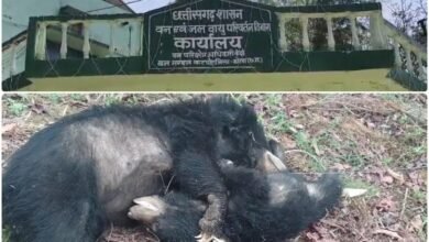 InShot 20260327 150549253 copy 1440x960