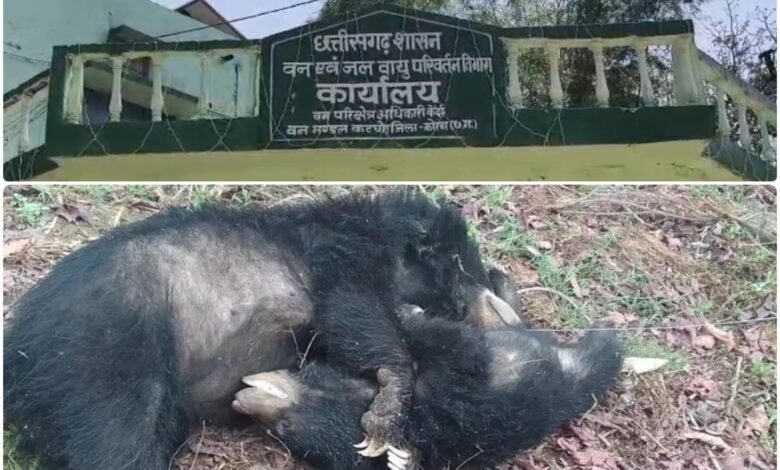 InShot 20260327 150549253 copy 1440x960