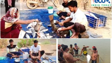 InShot 20260327 231624255 copy 1013x675