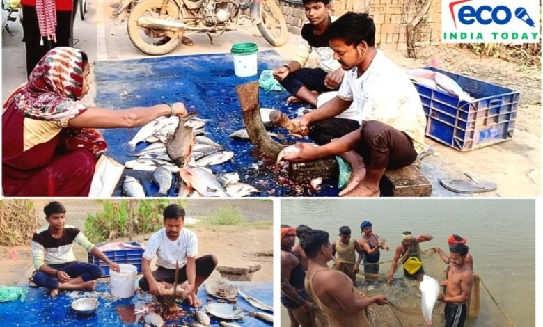 InShot 20260327 231624255 copy 1013x675