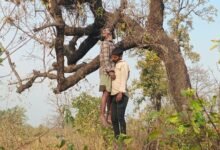 IMG 20260402 134147 copy 800x530