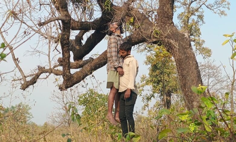 IMG 20260402 134147 copy 800x530