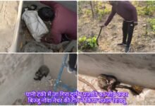 InShot 20260415 110737242 copy 950x633