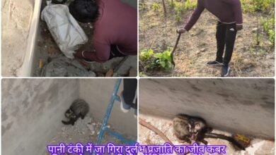 InShot 20260415 110737242 copy 950x633